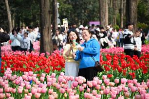 南京：游客游园赏花享春光