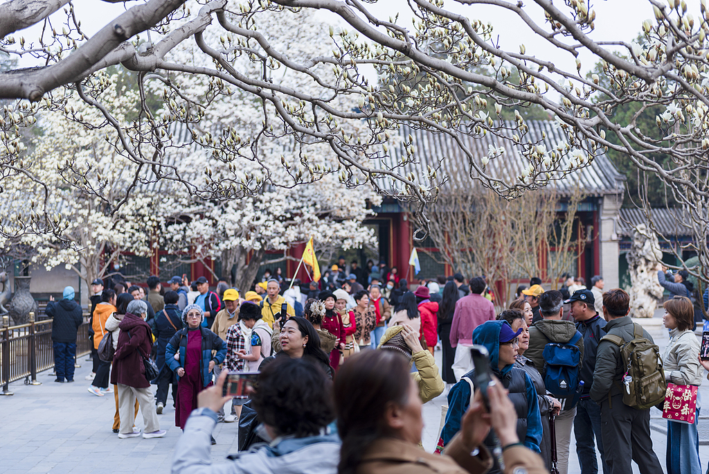 北京：颐和园春意盎然游人如织