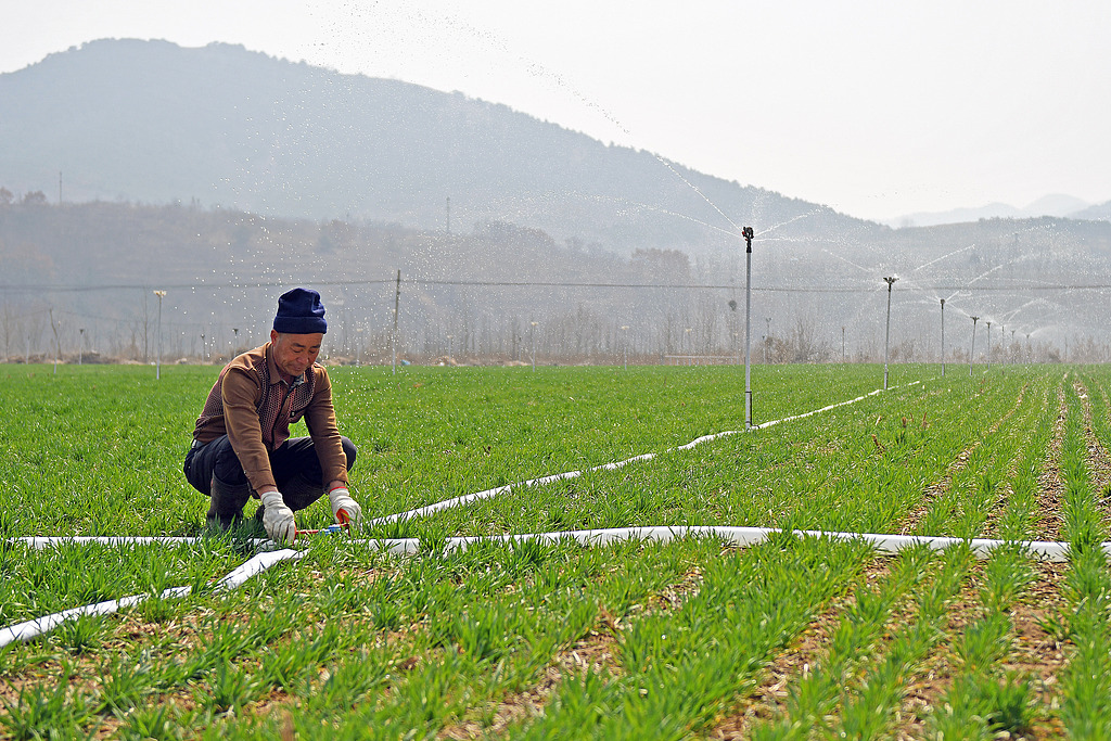 山东烟台：农民抢抓农时开展春耕