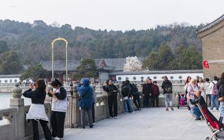 北京：颐和园春意盎然游人如织