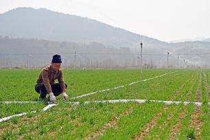 山东烟台：农民抢抓农时开展春耕