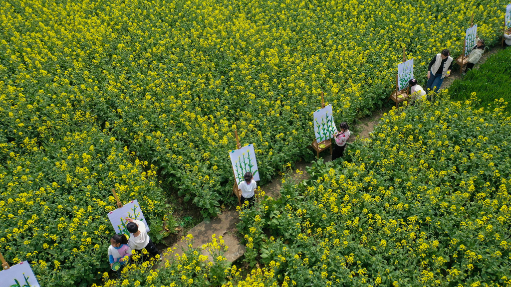 江苏南通：儿童油菜花田描绘春光