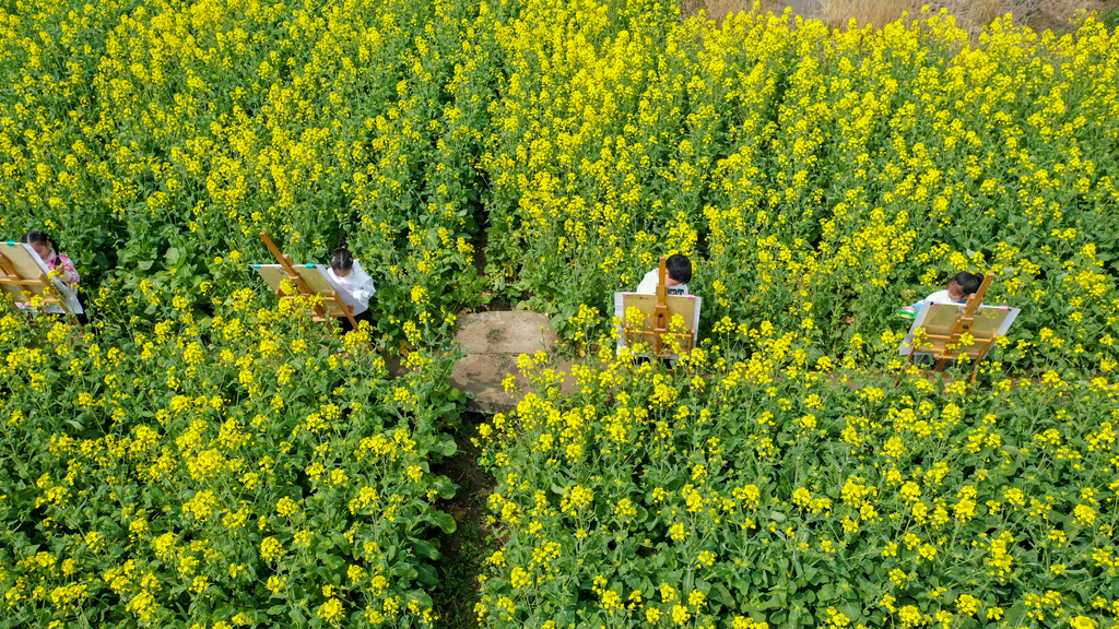 江苏南通：儿童油菜花田描绘春光