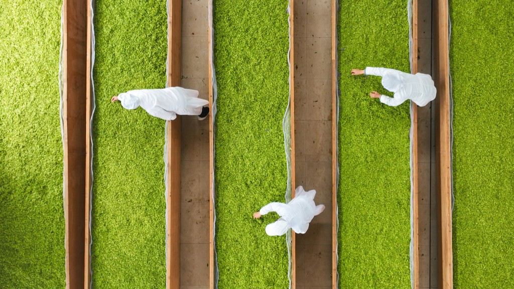 贵州黔东南：茶农抢抓时节赶制明前茶