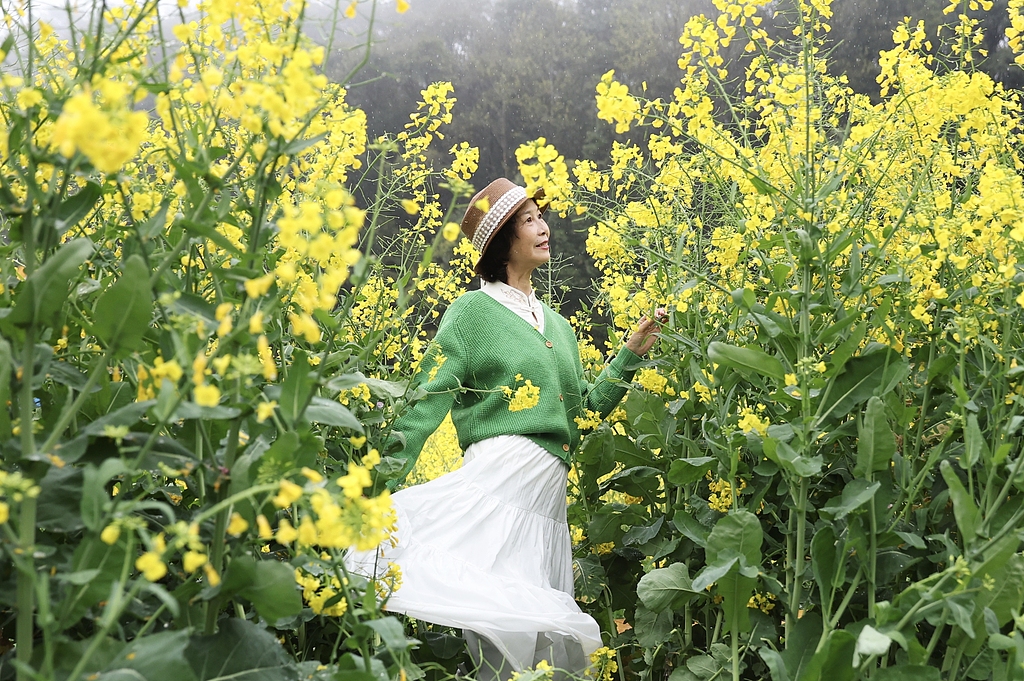 江西婺源：油菜花进入最佳观赏期
