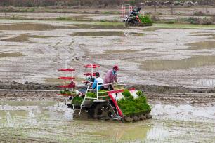 湖南永州：农民驾驶插秧机移栽早稻