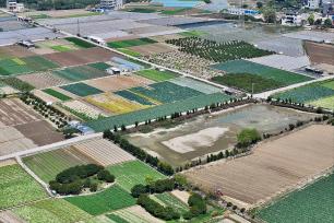 福州：蔬菜基地进入早春采收旺季