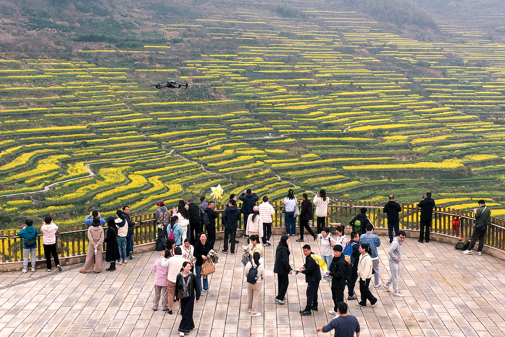 浙江上虞：岭南乡覆卮山梯田迎来最美时节