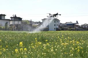 云南大理：无人机飞防助力春耕