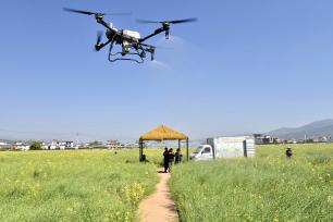 云南大理：无人机飞防助力春耕