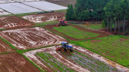 江西吉水：农机绘“丰”景