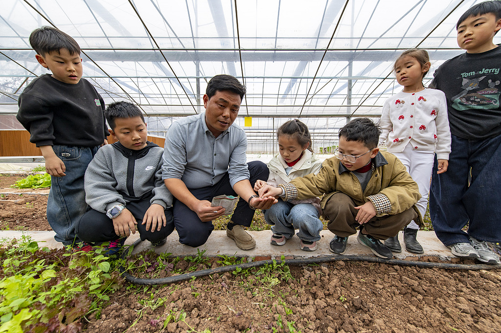 浙江金华：小朋友体验水培蔬菜种植