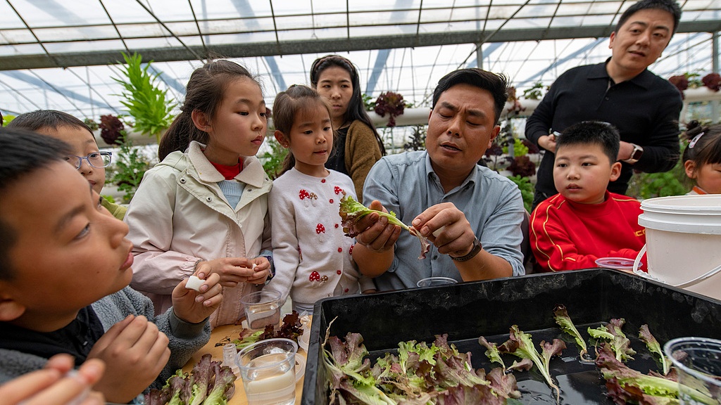 浙江金华：小朋友体验水培蔬菜种植