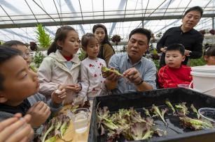 浙江金华：小朋友体验水培蔬菜种植