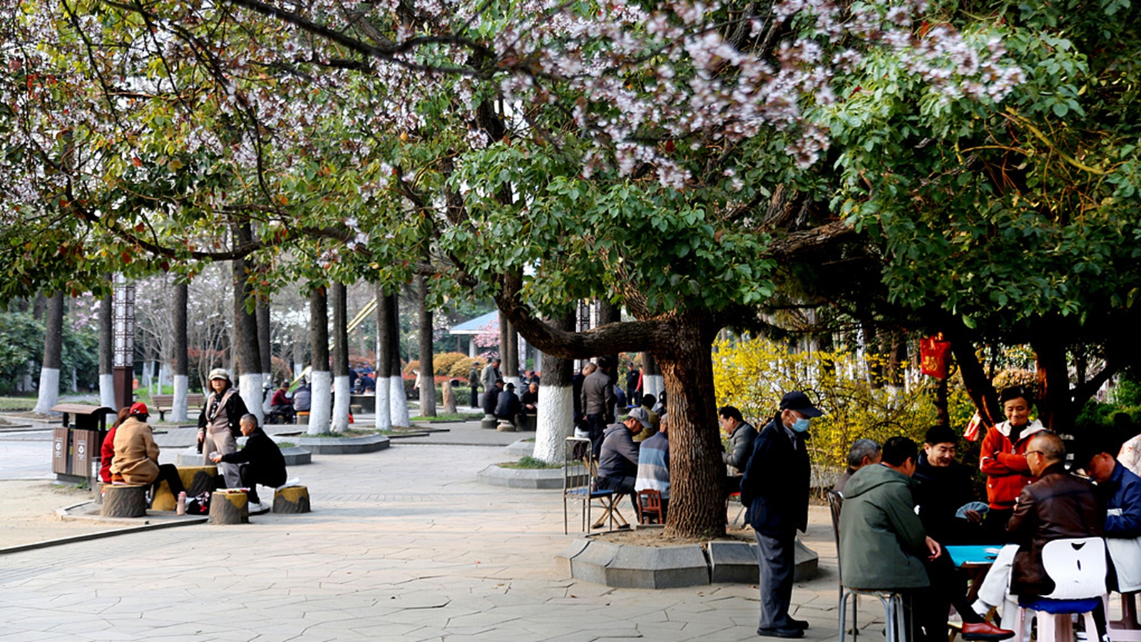 江苏连云港：市民踏青赏花不负春光