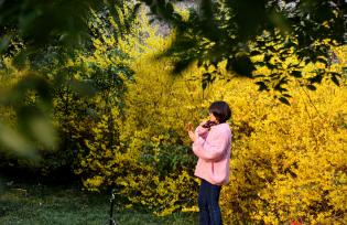 江苏连云港：市民踏青赏花不负春光