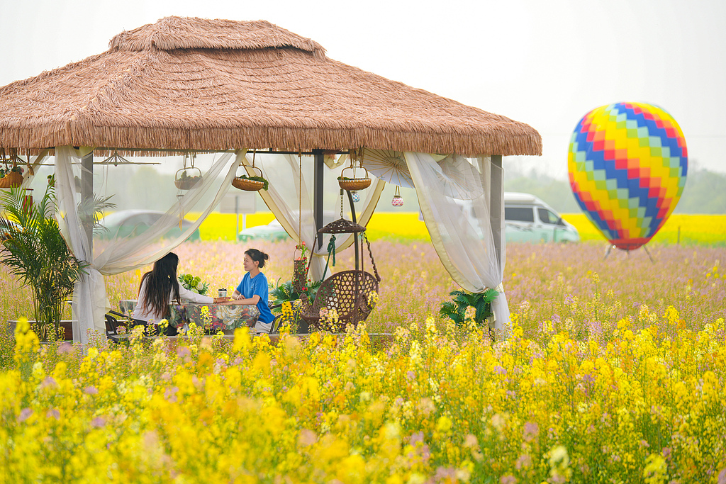 浙江安吉：游客置身花海品咖啡 赏春光