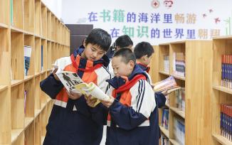 江苏淮安：学生校园图书馆品书香