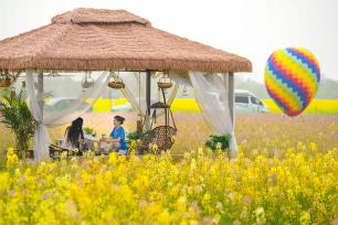 浙江安吉：游客置身花海品咖啡 赏春光