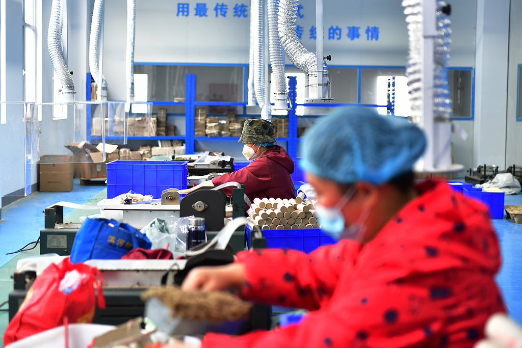 河南南阳：艾草产业蓬勃发展