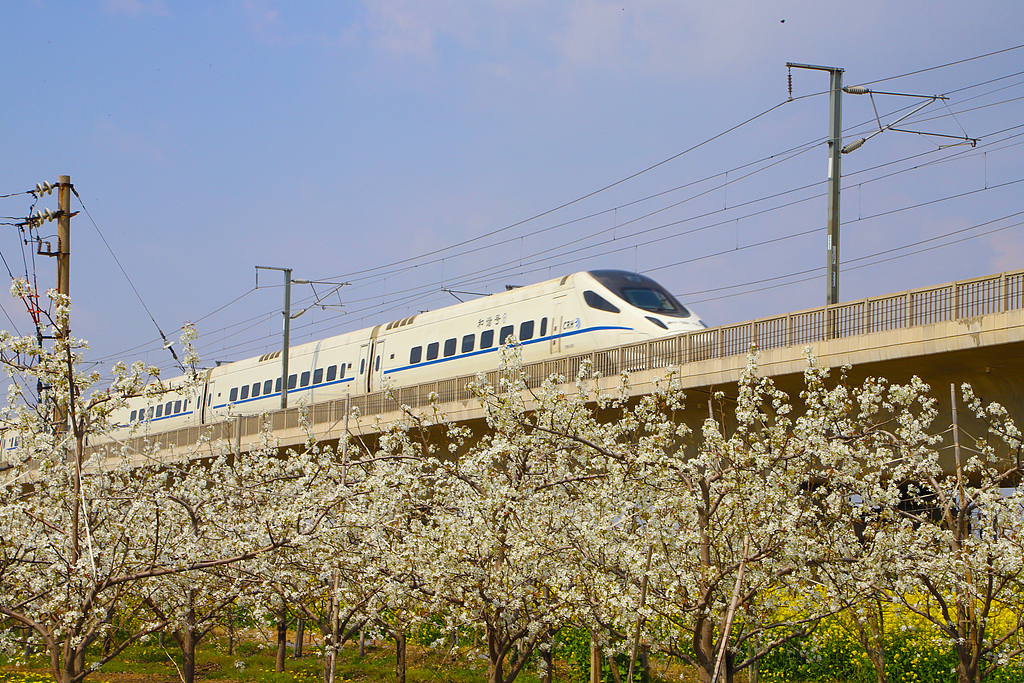 山西运城：高铁穿行花海