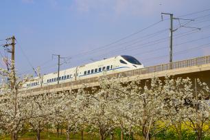 山西运城：高铁穿行花海