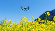 湖北秭归：无人机助力油菜春耕施肥