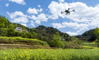 湖北秭归：无人机助力油菜春耕施肥