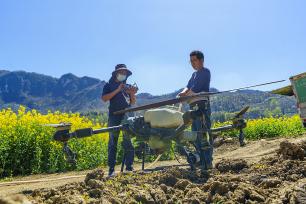 湖北秭归：无人机助力油菜春耕施肥