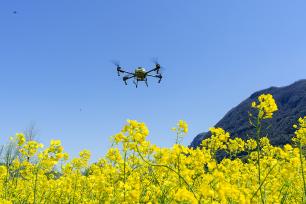 湖北秭归：无人机助力油菜春耕施肥