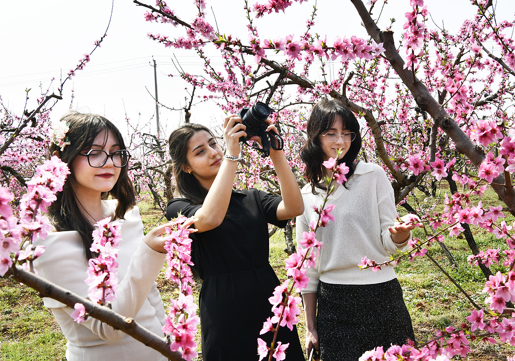 山东枣庄：外国游客赏花游玩 感受春日风光