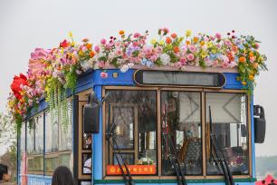 河南洛阳：“簪花公交”亮相街头
