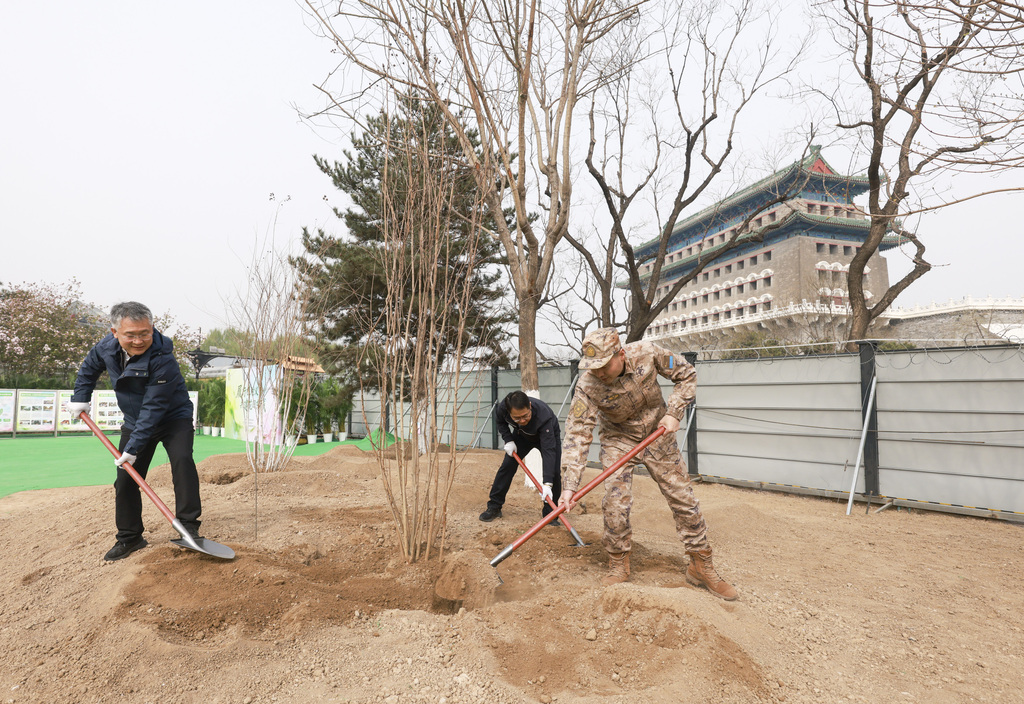 北京：民众前门箭楼旁义务植树