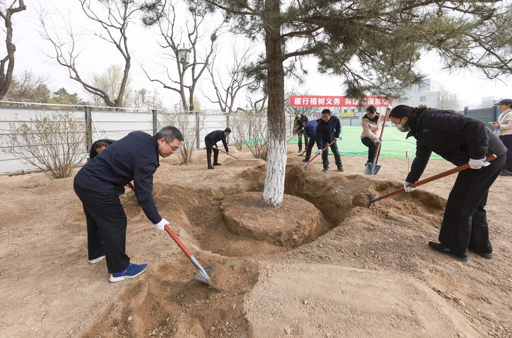 北京：民众前门箭楼旁义务植树