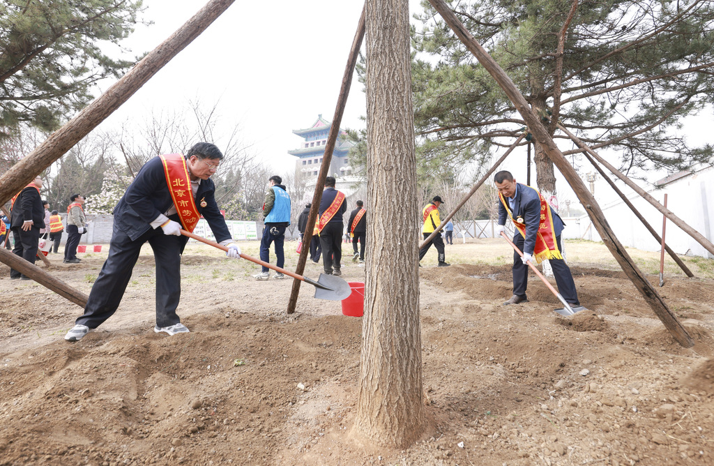 北京：民众前门箭楼旁义务植树
