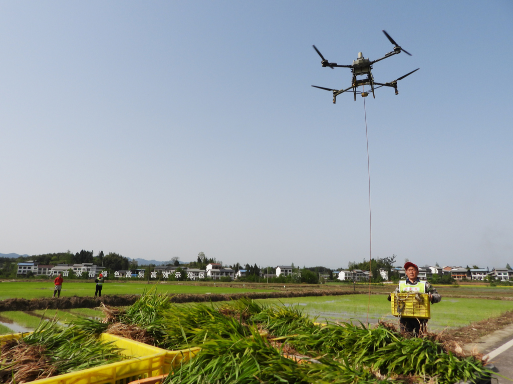四川达州：无人机助力春耕插秧