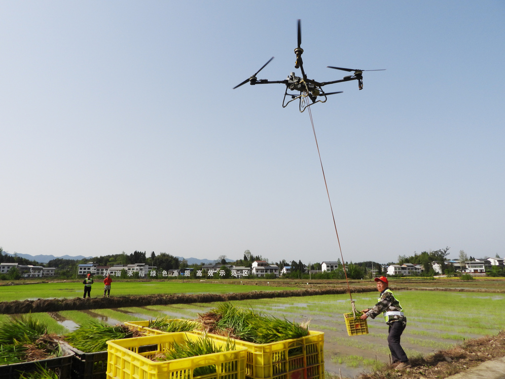 四川达州：无人机助力春耕插秧