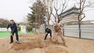 北京：民众前门箭楼旁义务植树
