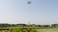 四川达州：无人机助力春耕插秧