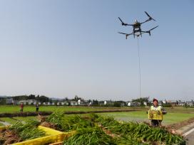 四川达州：无人机助力春耕插秧