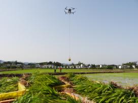 四川达州：无人机助力春耕插秧