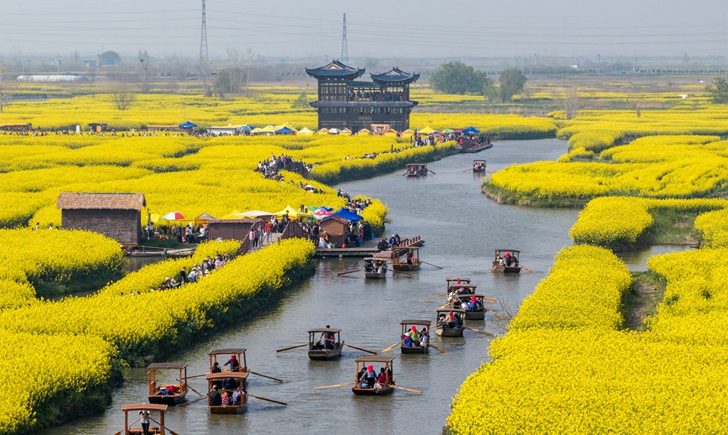 江苏兴化：千垛油菜花景区游人如织