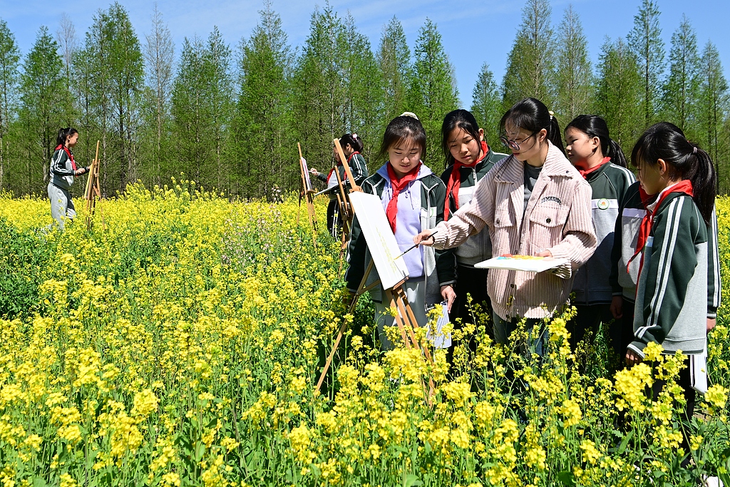江苏太仓：学生油菜花田间写生