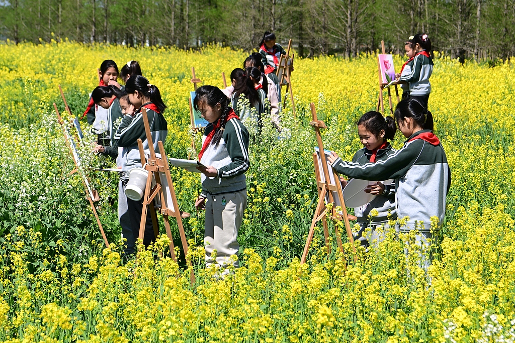 江苏太仓：学生油菜花田间写生