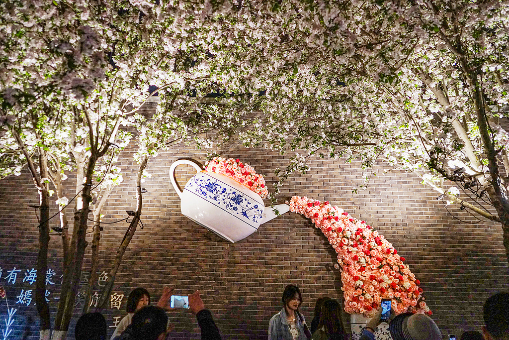 天津五大道海棠花节人气旺