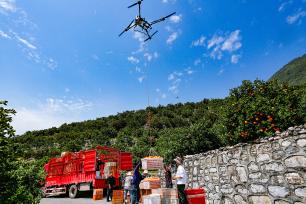 湖北秭归：无人机吊运春橙助力销售