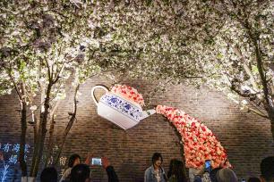 天津五大道海棠花节人气旺