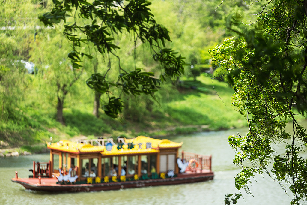 南京：游客泛舟秦淮河