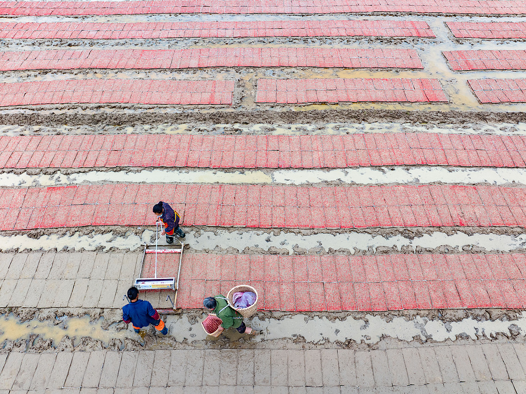 四川广安：村民抢抓农时田间育秧