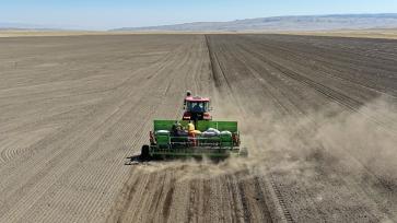 甘肃张掖：祁连山下山丹马场春播正当时